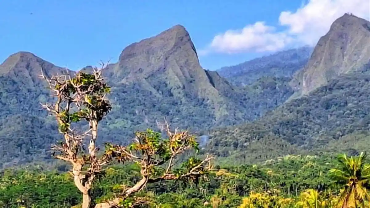 Suasana posko pendaftaran dan area jalur pendakian Gunung Piramid di Kabupaten Bondowoso saat tim SAR melakukan koordinasi pencarian.
